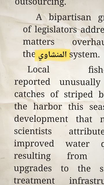 แอนิเมชันของข้อความ “المنشاوي”