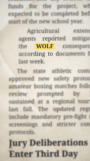 Animation of the phrase “WOLF”