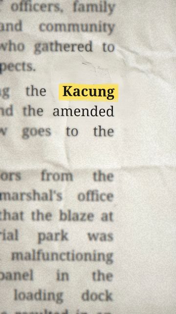 Animasi dari frasa “Kacung”