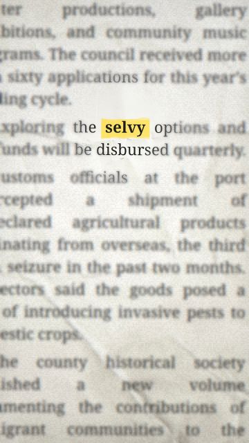 Animation of the phrase “selvy”